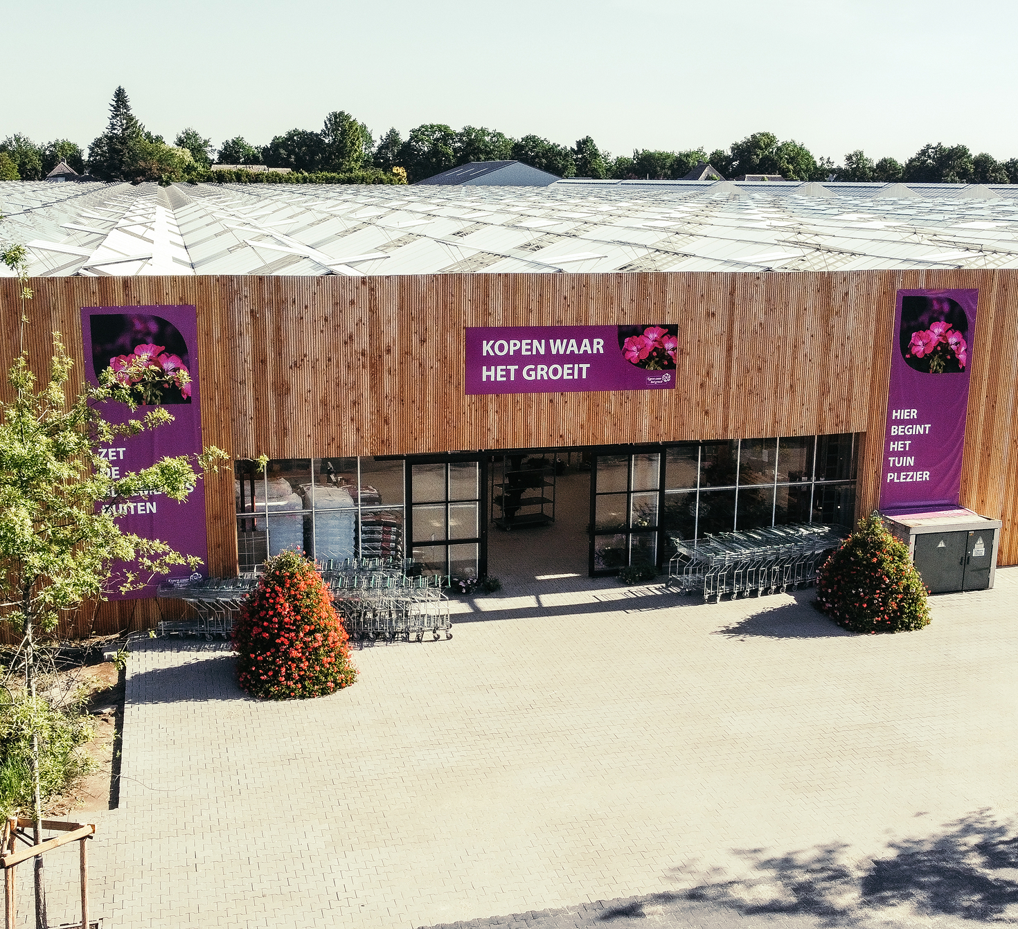planten kopen Emmen